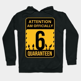 6th Birthday Officially a Quaranteen 6 Years Old Hoodie